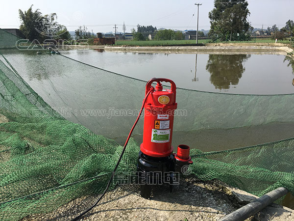 山東陳先生：魚(yú)塘清淤用雙刀切割泵耐用又給力！